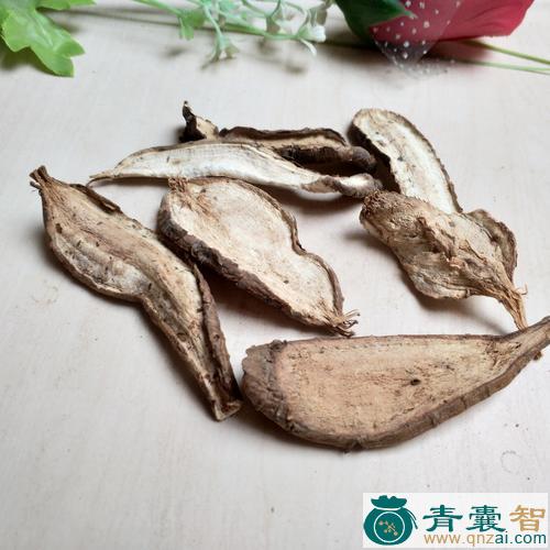 中药材七角白蔹图片