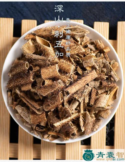 中药材三五加图片