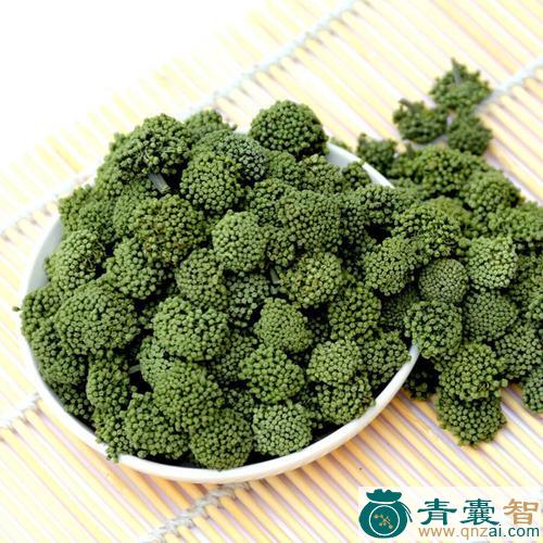中药材三变花图片
