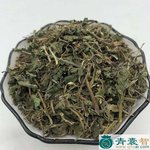 三叶乌蔹莓的性味归经以及功效用法和注意事项-青囊智
