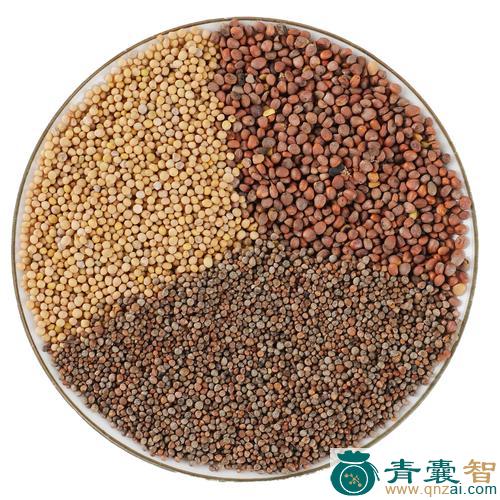 中药材三敛子图片