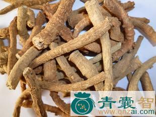 中药材三条筋图片