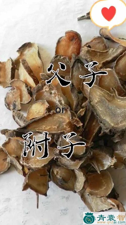 中药材三父子图片