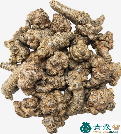 三牙戟的性状性味归经以及功效用法-青囊智