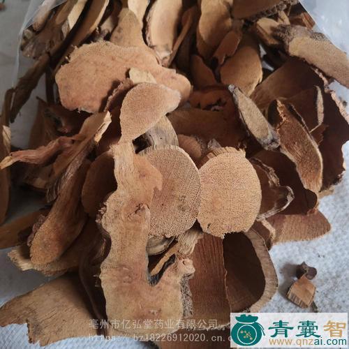 中药材三百两银药图片