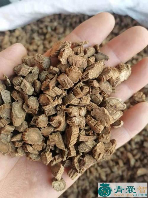 中药材三百棒图片
