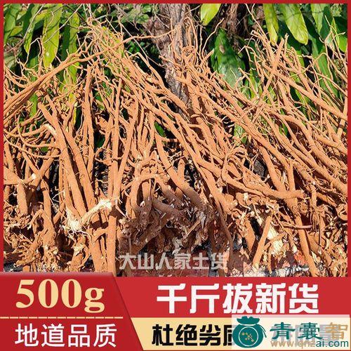 中药材三皮风根图片