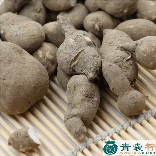 中药材三角青图片