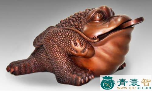 中药材三足蝉图片