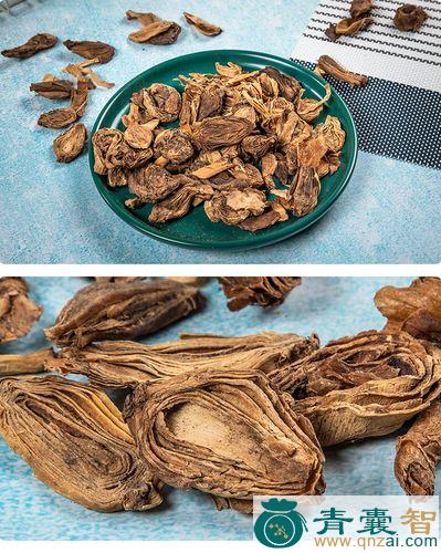 中药材上石蒜图片
