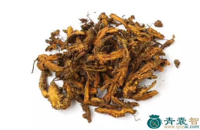 中药材下山连图片
