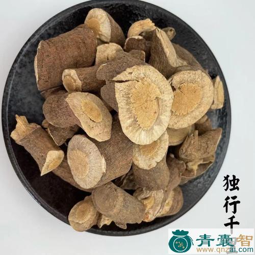 中药材下洞底图片
