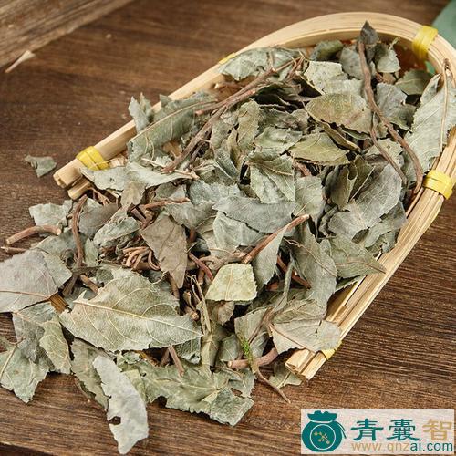 中药材不出林图片