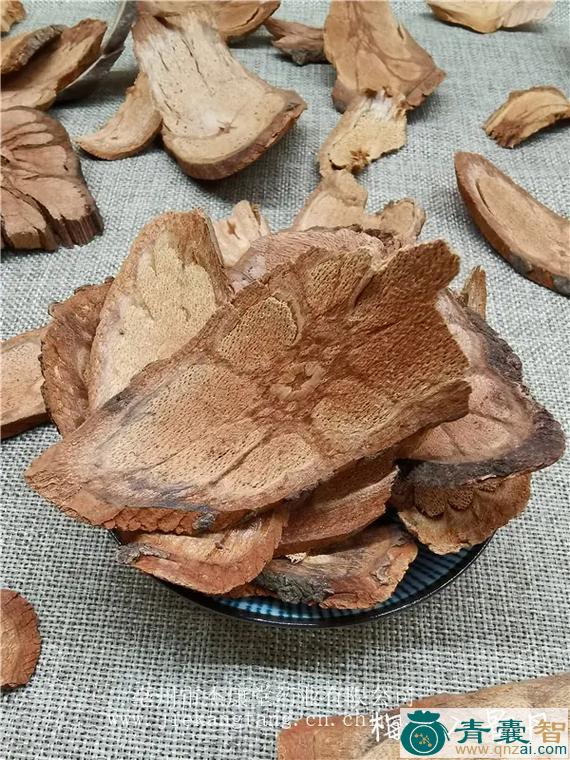 中药材不安丹图片