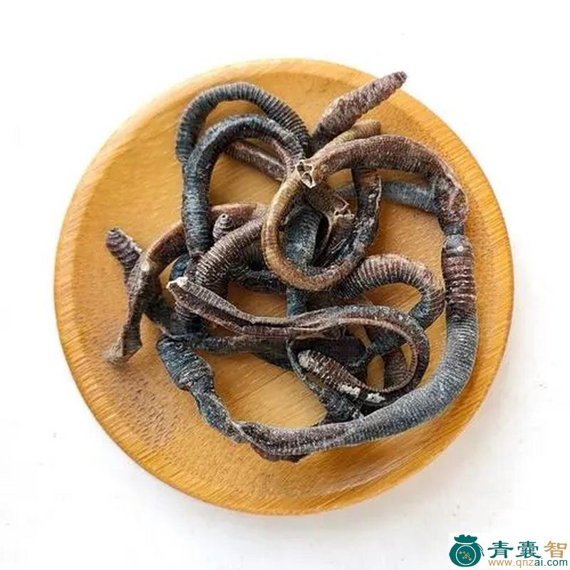 中药材丘螾图片