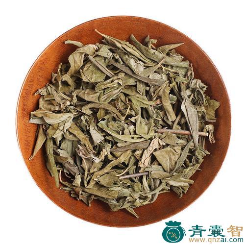 东北满山红的性状性味归经以及功效用法-青囊智