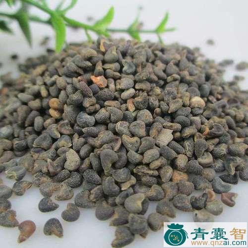 中药材东廧子图片