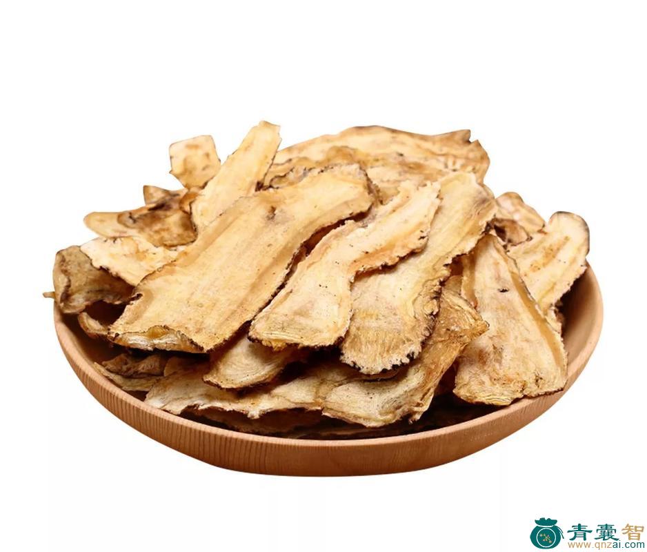 中药材东当归图片