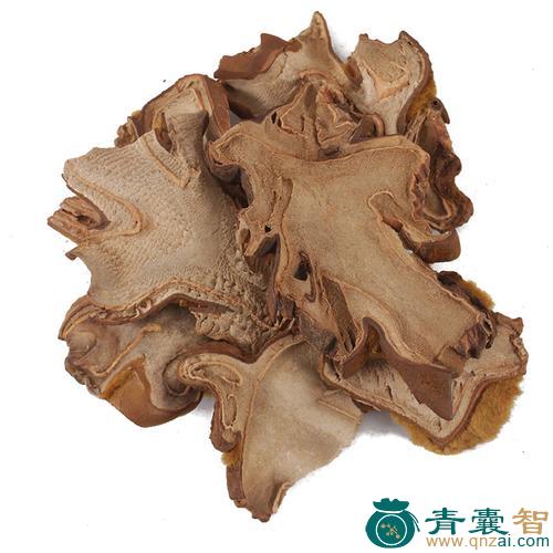 中药材东方狗脊图片