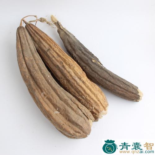 中药材丝瓜南图片
