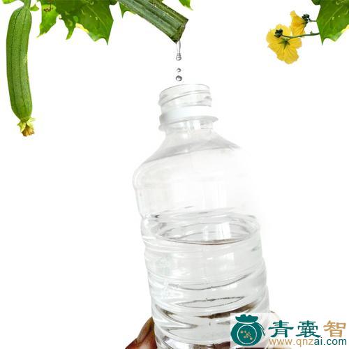 中药材丝瓜水图片