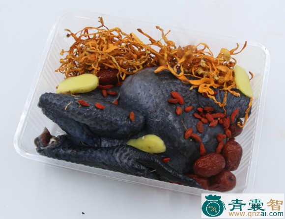 中药材丝禽图片