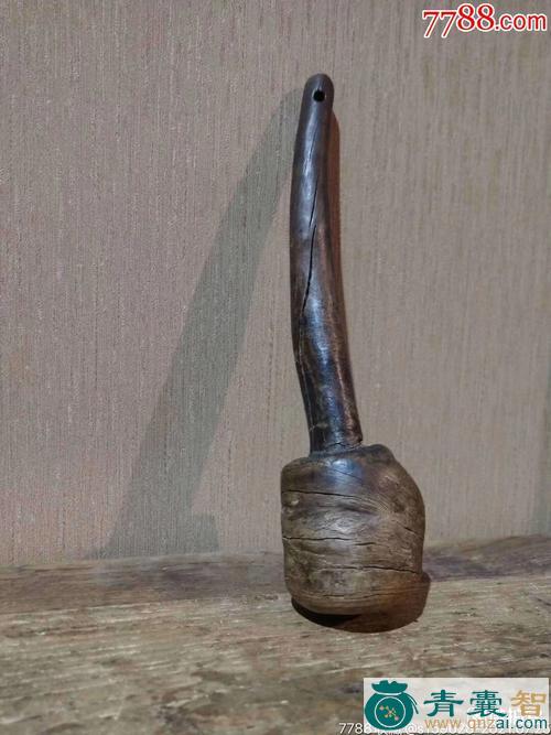 两头槌的性味归经以及功效用法-青囊智