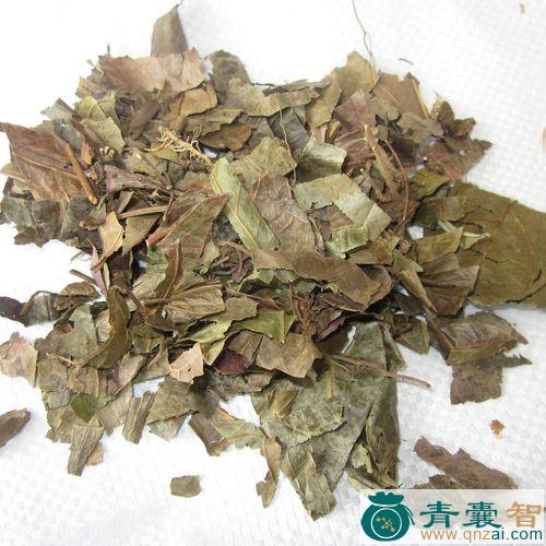中药材两头粘图片