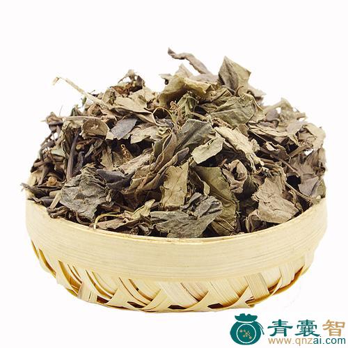 中药材中华石楠图片