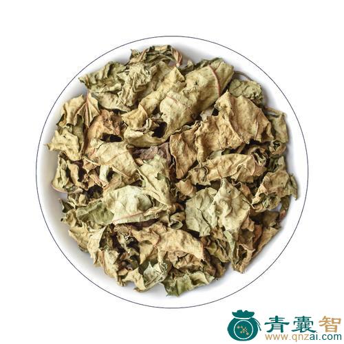 中国梧桐的性味归经以及功效用法-青囊智