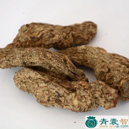 中药材丹地黄图片