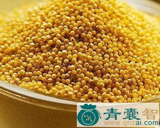 丹粟的性状性味归经以及功效用法和注意事项-青囊智