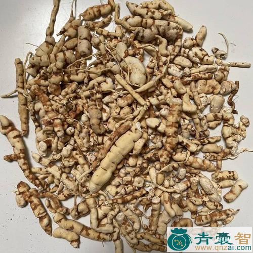 主田的性状性味归经以及功效用法和注意事项-青囊智