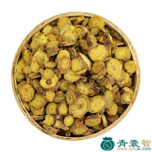 丽江黄芩-青囊智