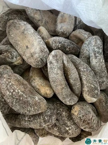 中药材乌圆图片