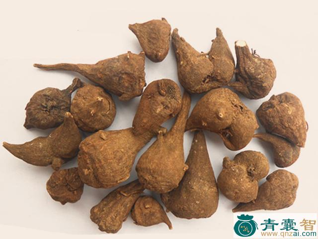 中药材乌松图片