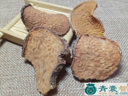 中药材乌榄树皮图片