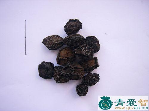 中药材乌炭子图片