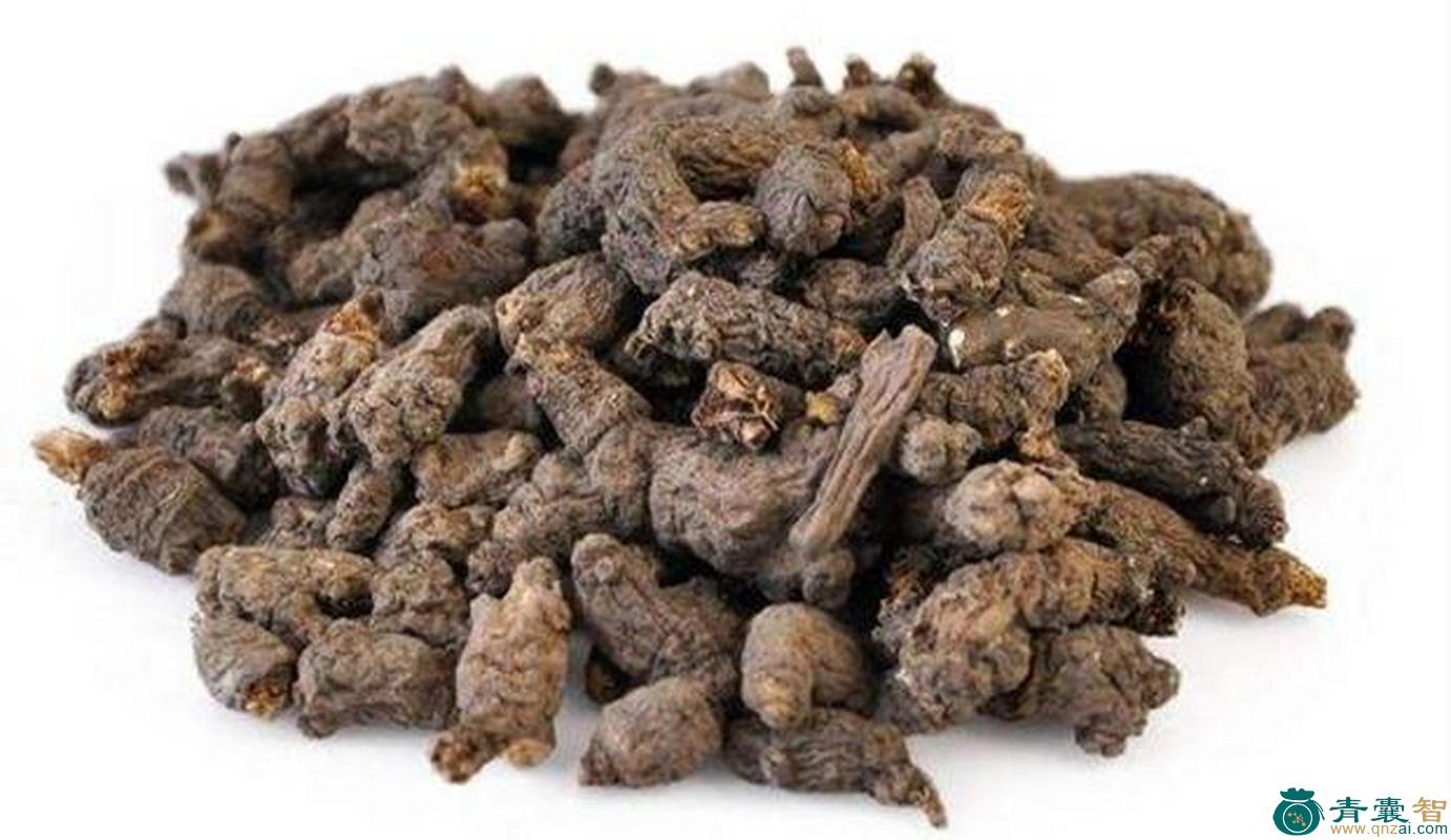 中药材乌皮柴图片