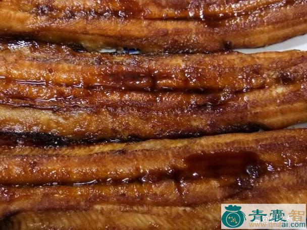 乌皮鳗的性味归经以及功效用法-青囊智