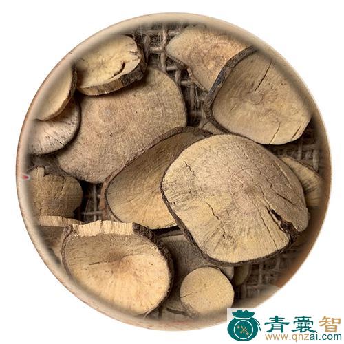 中药材乌药子图片