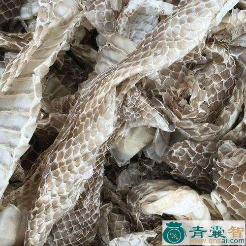 中药材乌蛇皮图片