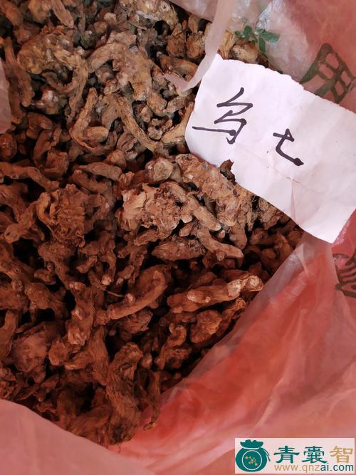 中药材乌金七图片