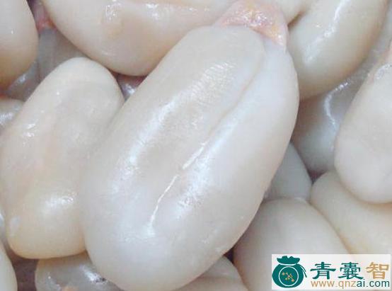 中药材乌鱼蛋图片