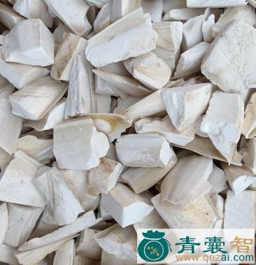 中药材乌鲗骨图片