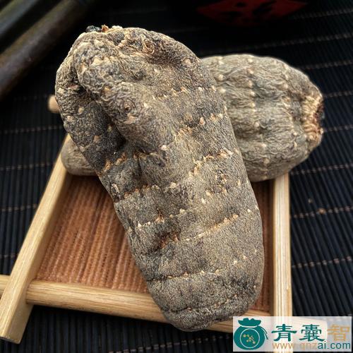 中药材乌麻子图片