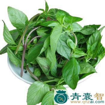 中药材九层塔图片