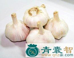中药材九层蒜图片