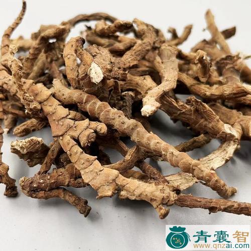 中药材九根索图片