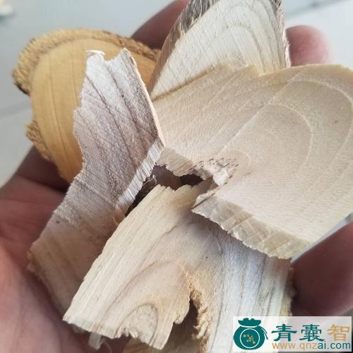 中药材九耳木图片